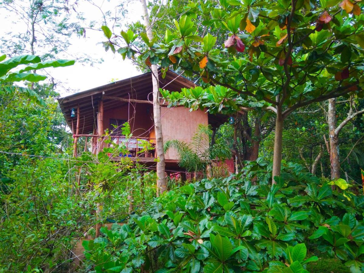 Akash Treehouse Apartment Sigiriya Ngoại thất bức ảnh