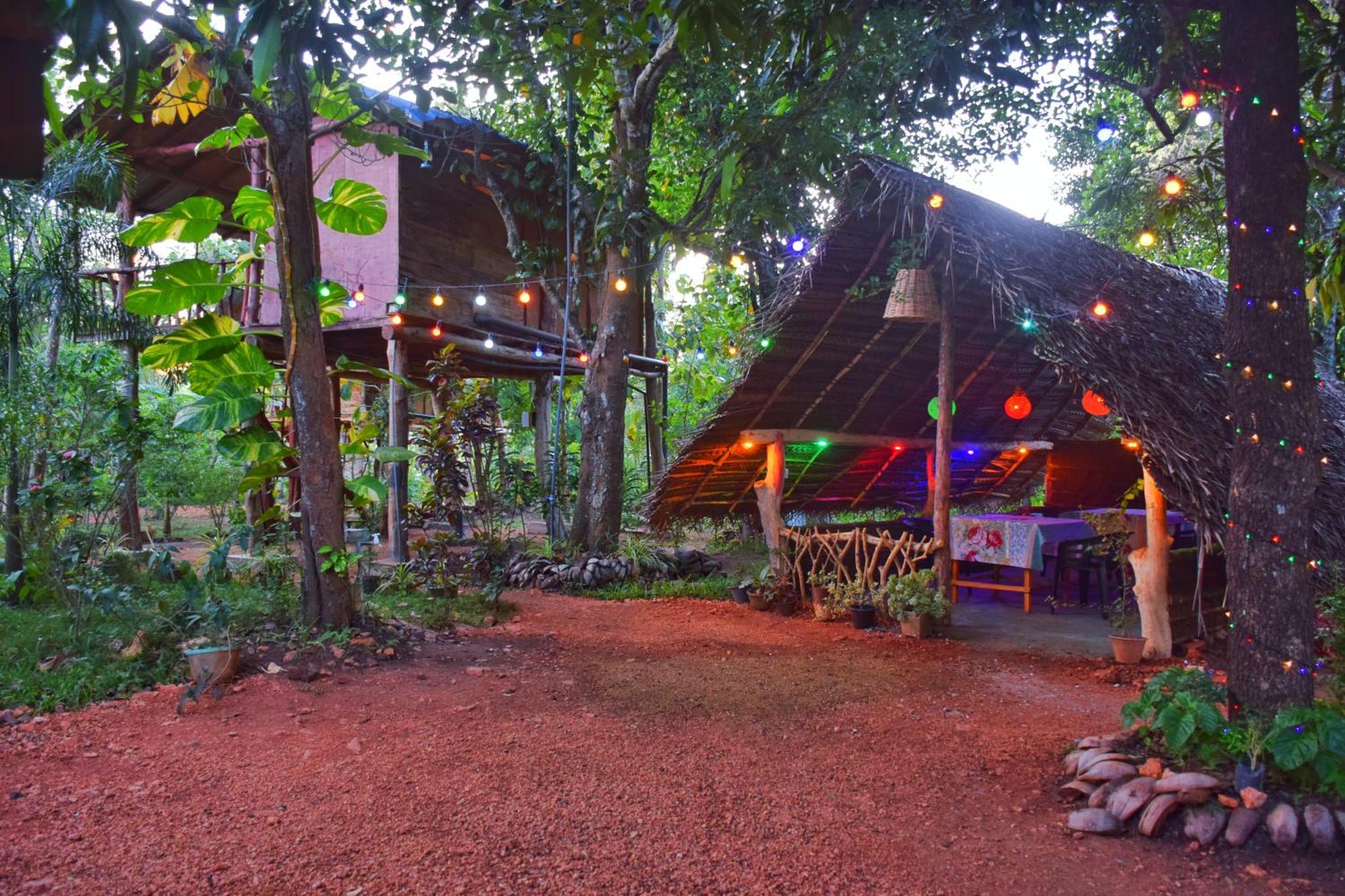 Akash Treehouse Apartment Sigiriya Ngoại thất bức ảnh