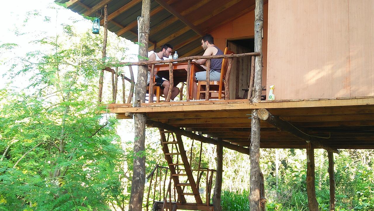 Akash Treehouse Apartment Sigiriya Ngoại thất bức ảnh